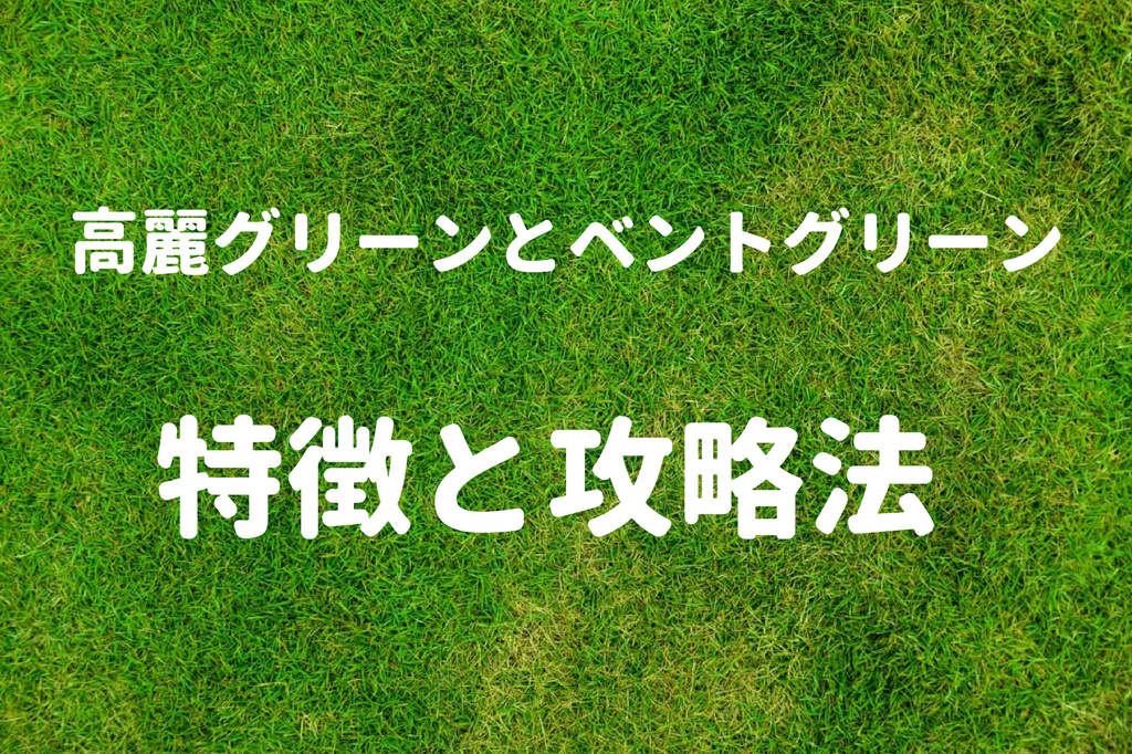 完全攻略 高麗グリーンとベントグリーンの特徴をまとめみた ゴルフ100切りのための10のポイント